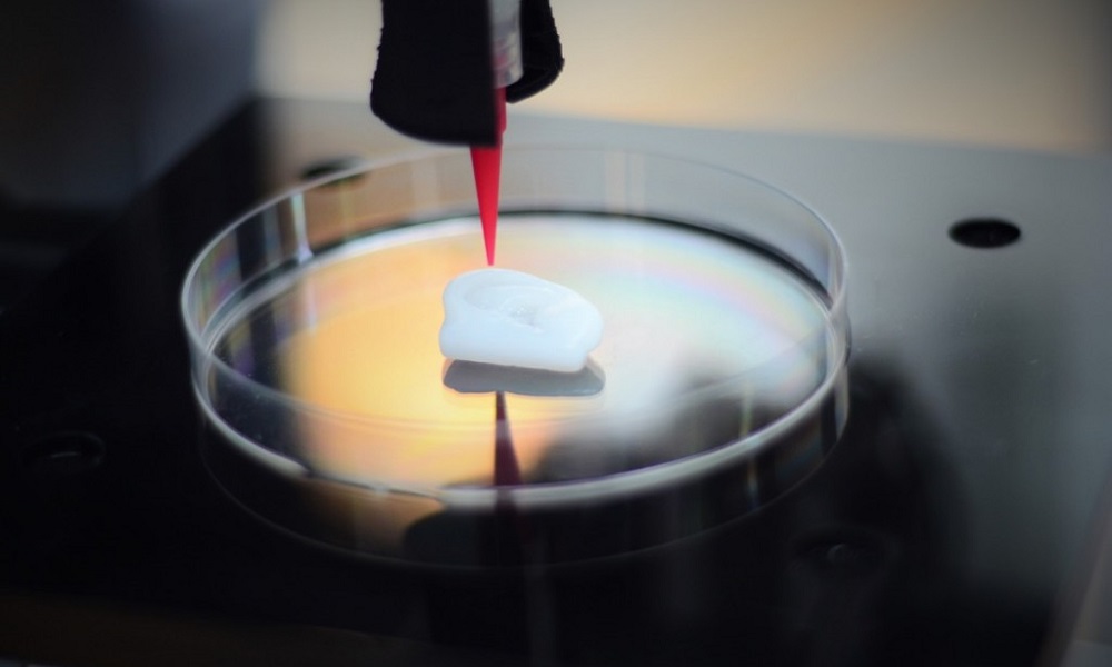 3D bioprinting: What can we achieve today with a 3D bioprinter?