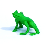 /media/picture/original/grenouille_copy_size_410.jpg