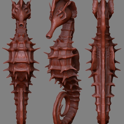 Hippocampe