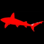 /media/picture/original/red-shark-2_size_410.jpg
