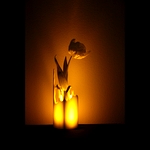 /media/picture/original/splash-vase_dark_carre_1_size_410.jpg