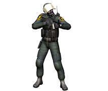 SWAT Longgun