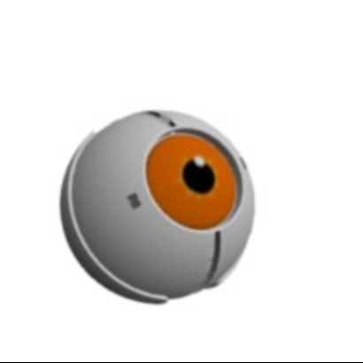 Sphere de moralité (curiosité)