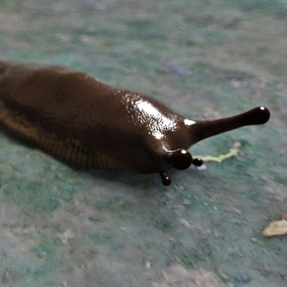 Slug