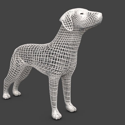 Chien filaire