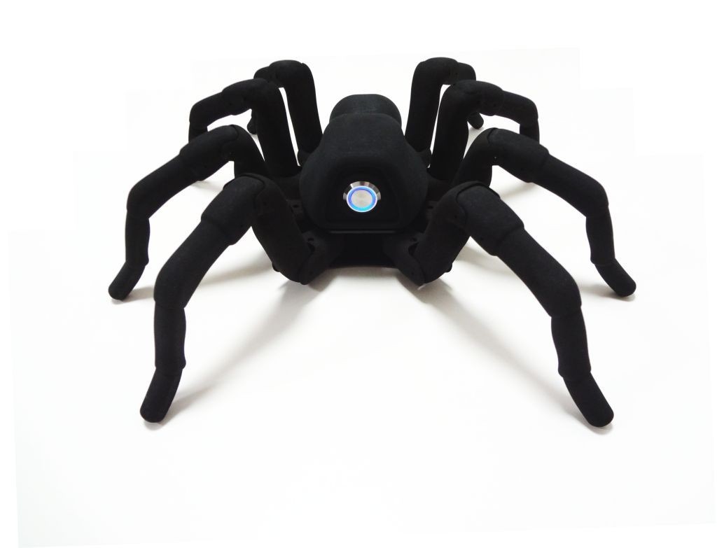 T8 Robugtix spider robot 1