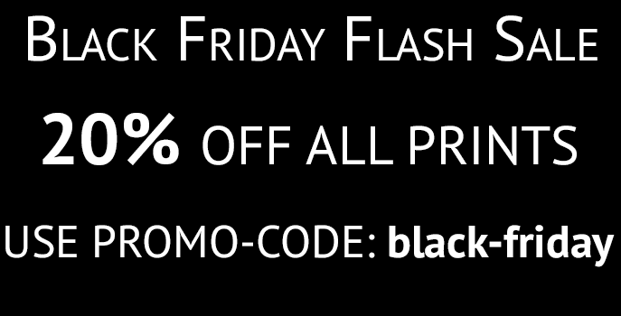 Special Black Friday Deal: 20% off all prints | Sculpteo Blog