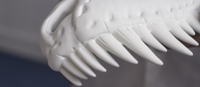 SLS 3D Printer for Archaeological 3D Printing: Dinosaur Skull