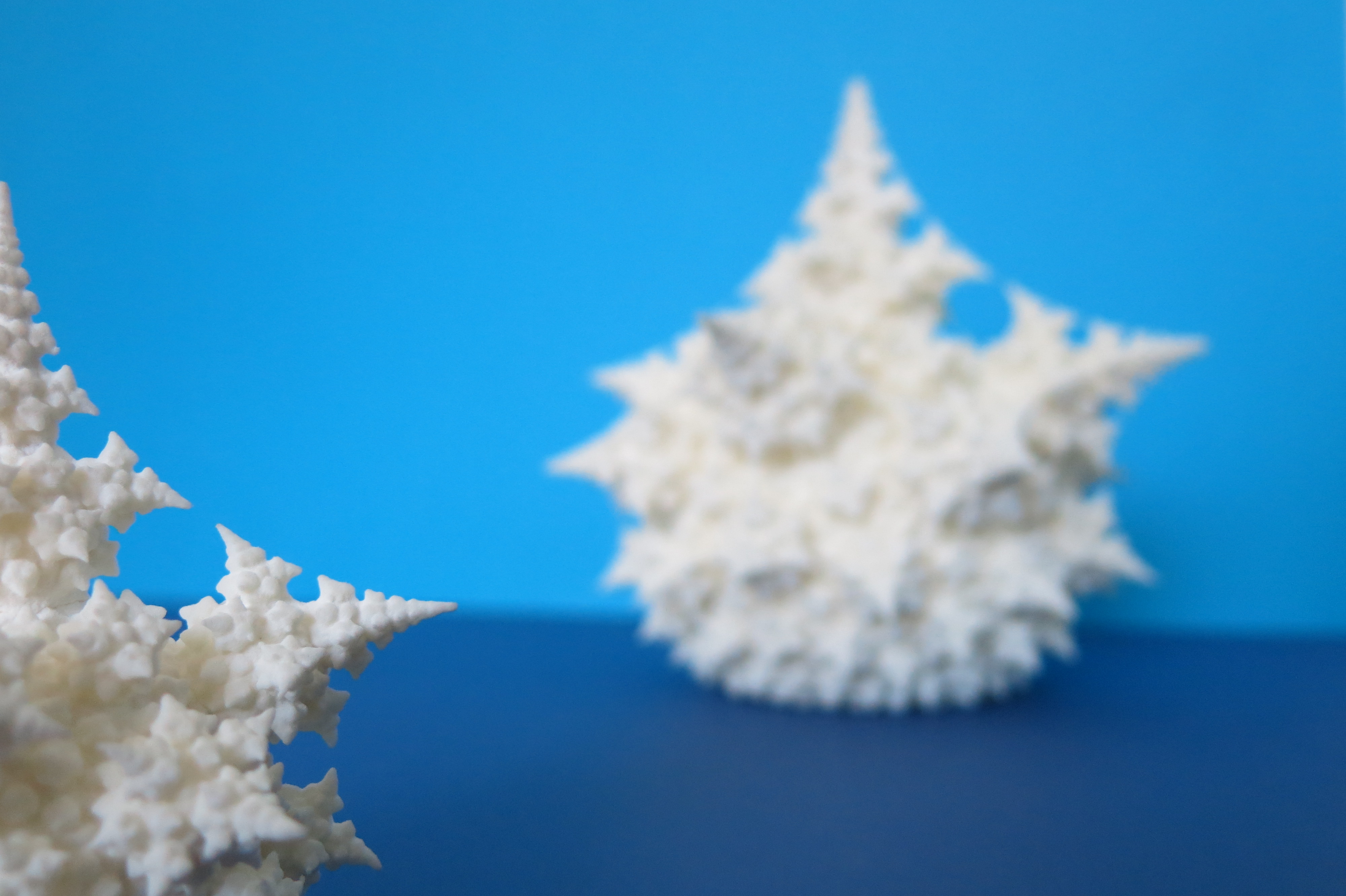 Perseus Kunstneriske Avenue Cool 3D-printed mathematical objects | Sculpteo Blog
