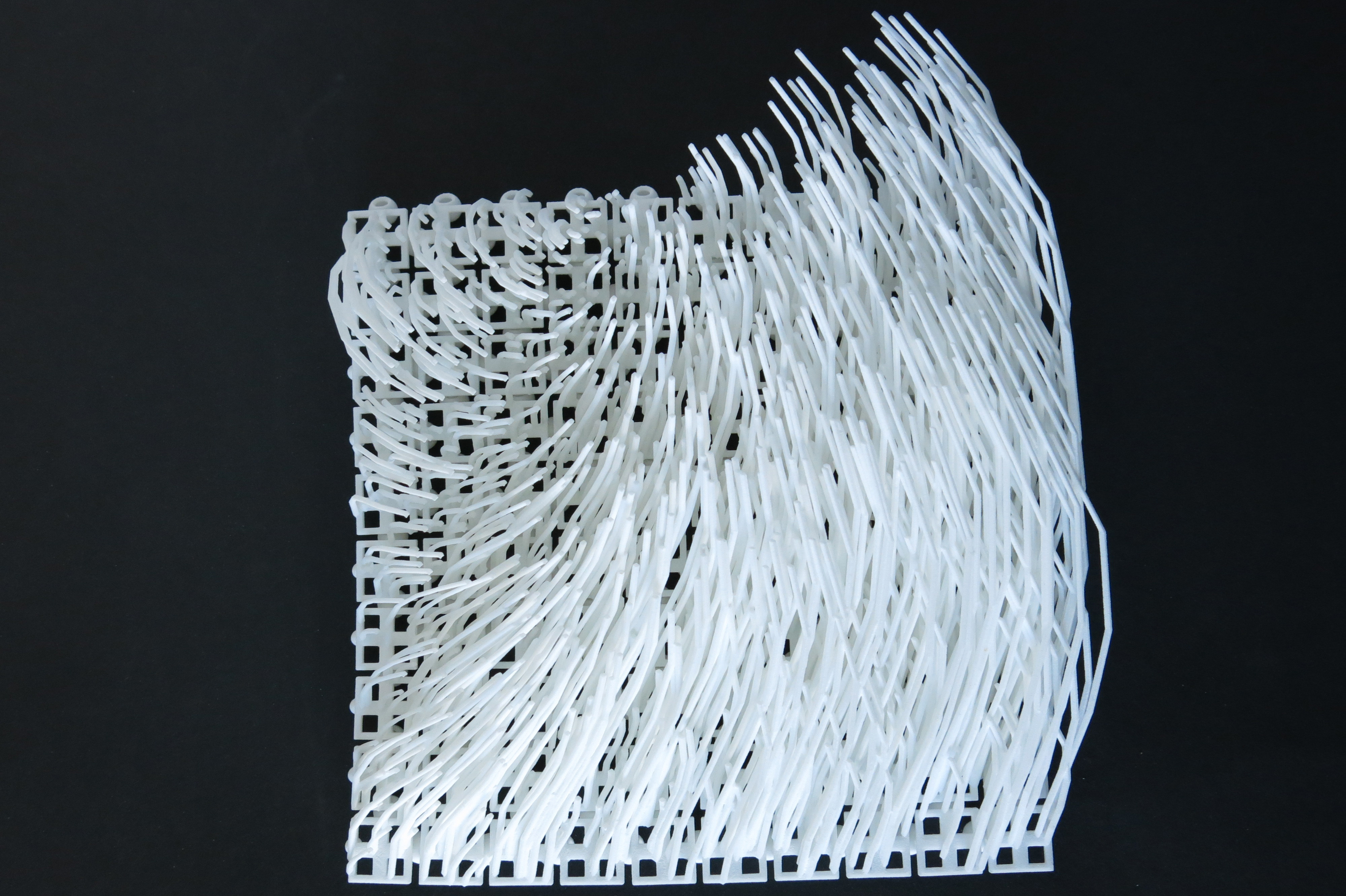 Scalar field with stems