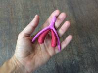 3D printed clitoris Odile Fillod