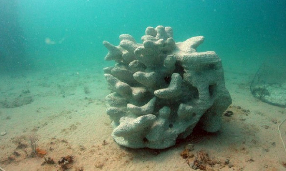 Discover the Concrete 3D Printed Coral Reef Project That Could Save Marine Life! | Sculpteo Blog
