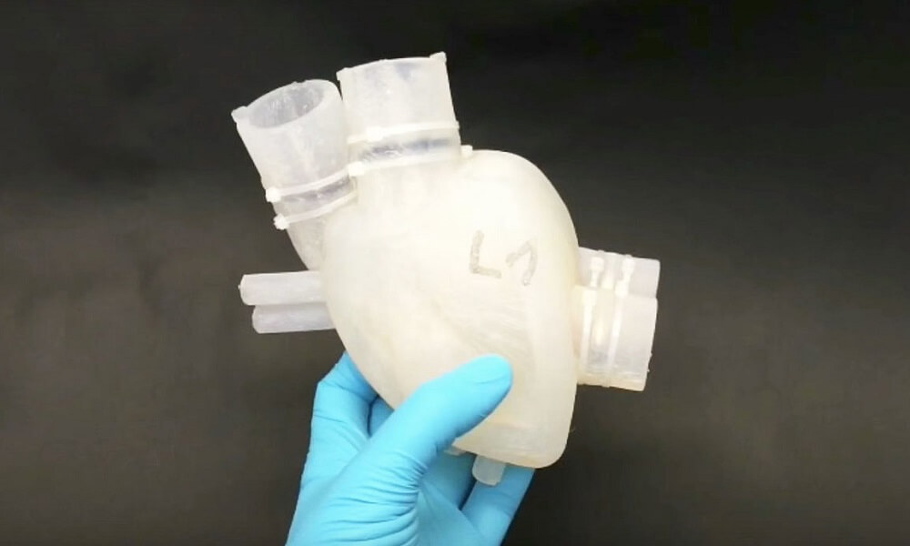 Impression 3D médicale : cœur imprimé en 3D
