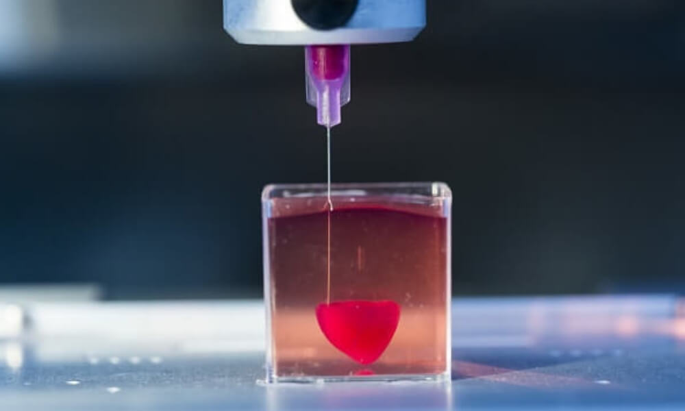 Groundbreaking news: 3D printed heart with human tissue | Sculpteo Blog