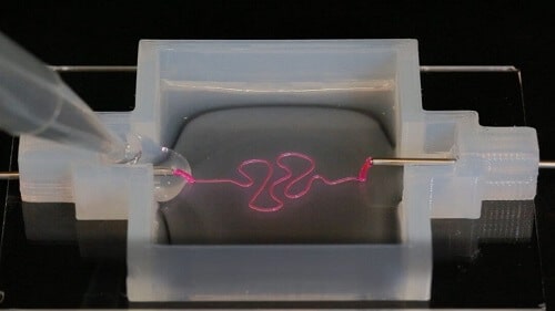 3D printing kidney