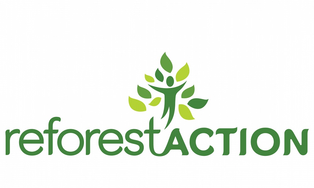 Partnership with Reforest’Action: Here are the results!