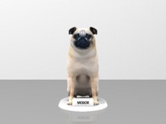 customizable_dog (pug dog)