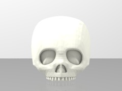 Skull