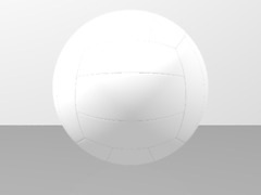 Mikasa Volleyball