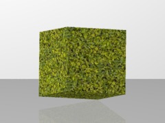 MyCraft Bush