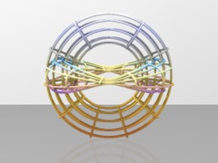complextorus_cage