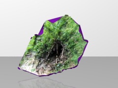 trouhenkiracines1