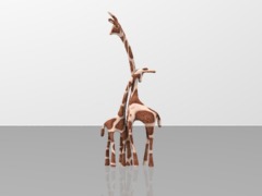 A Giraffe pair