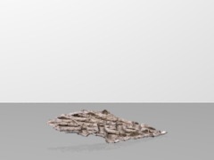 repneusbergerie0.5