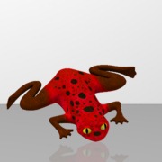 Frog Red
