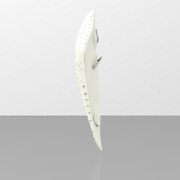 Fantasy themed shield