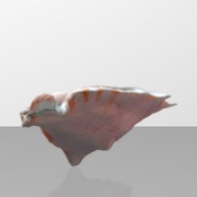 hear the sea