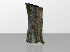 cerisiercadre0.5