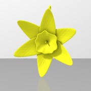 daffodil2.1.stl