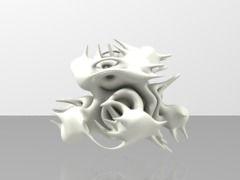 fractal organ