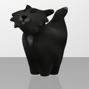black cat
