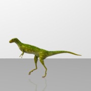 Lesothosaurus - Dinosaur
