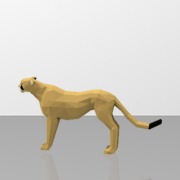 Cheetah