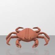 Crab