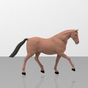 Horse