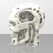 Tête terminator