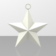 Christmas star