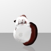 Micke Cat _3Dv18