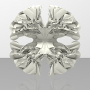 Gray Shape