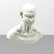 Old man bust