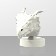 Dragon Head