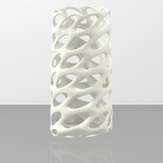 Twisted Vase with Voronoi Style
