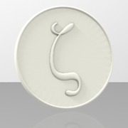 Zetacoin