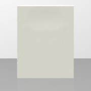 Lion highpoly