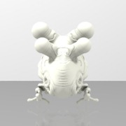 FrogShell