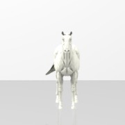 Animation_Horse